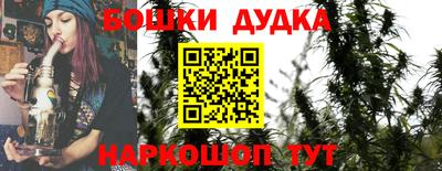 МДПВ Партизанск